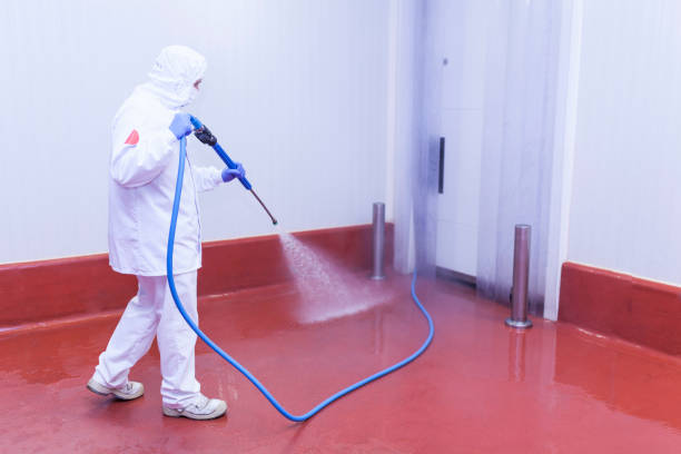 Best Pre-Holiday Cleaning  in Prices Fork, VA